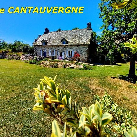 Gite Cantauvergne Villa Vebret ภายนอก รูปภาพ