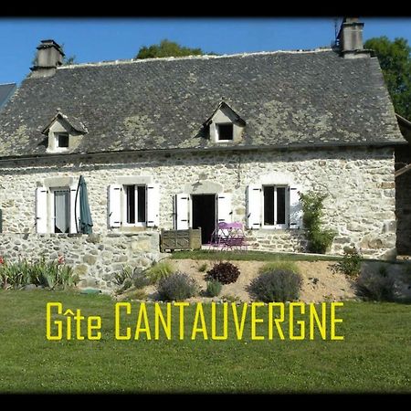 Gite Cantauvergne Villa Vebret ภายนอก รูปภาพ
