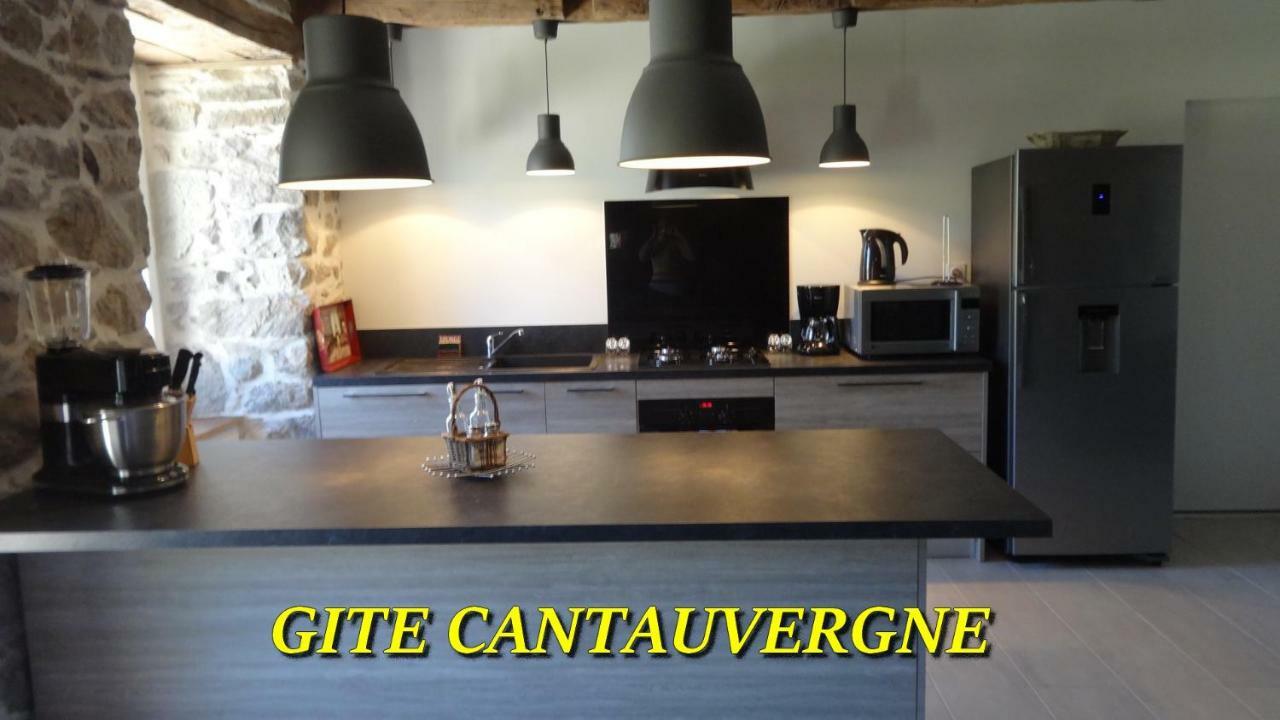 Gite Cantauvergne Villa Vebret ภายนอก รูปภาพ